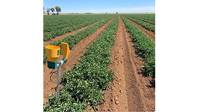 NEC and Kagome contribute to the sustainability of farming through enhancing the CropScope agricultural ICT platform